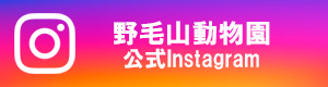 野毛山Instagram