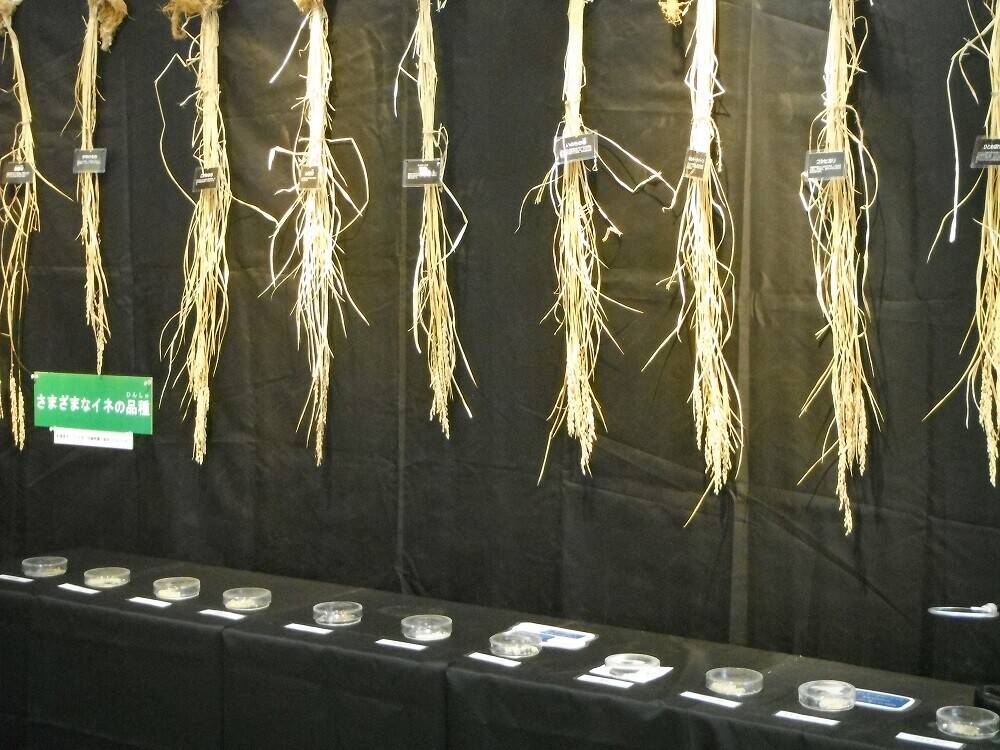 DSCF2067 - コピー.jpg