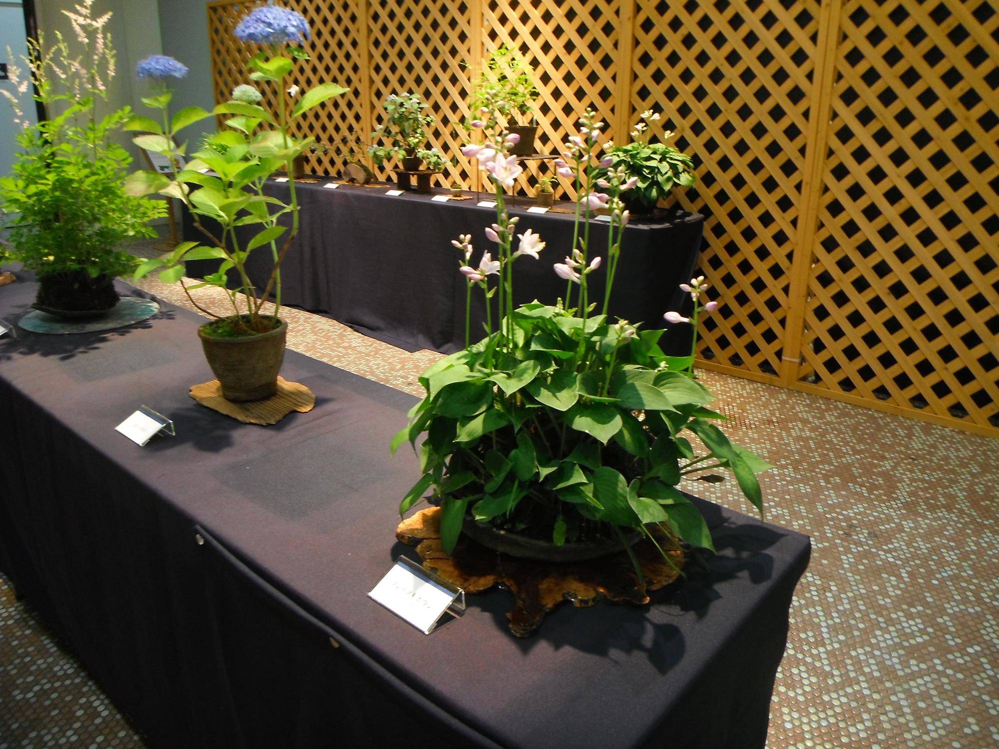 DSCF5967.jpg