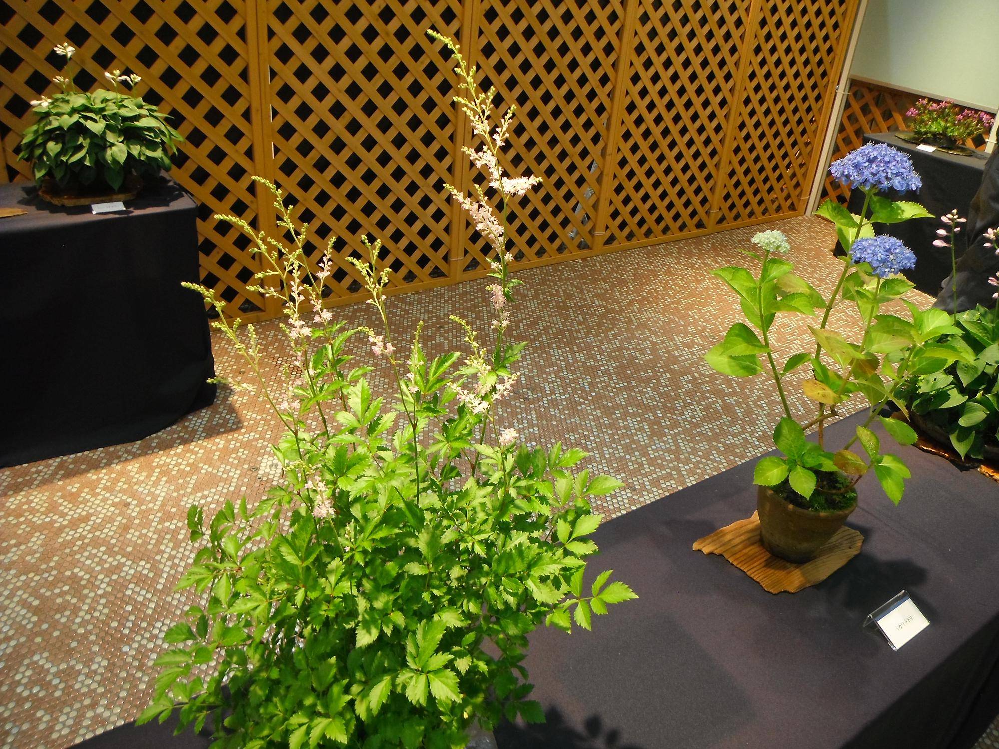DSCF5973.jpg