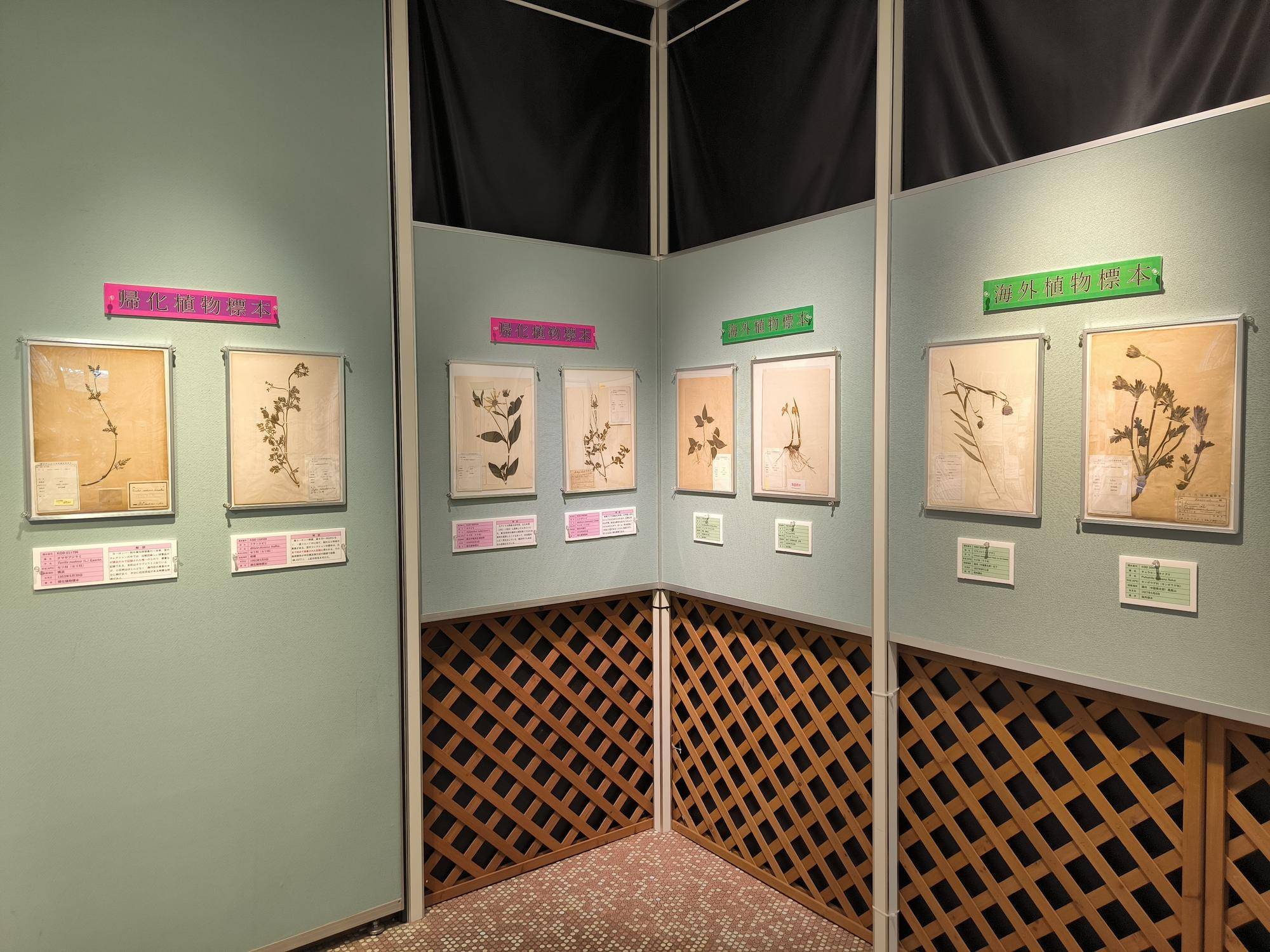 IMG_20260904_115531.jpg