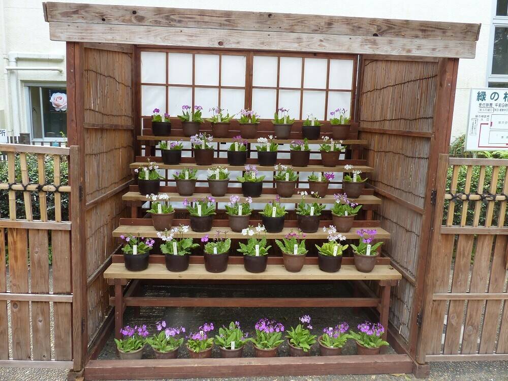 P1490943 - コピー.jpg