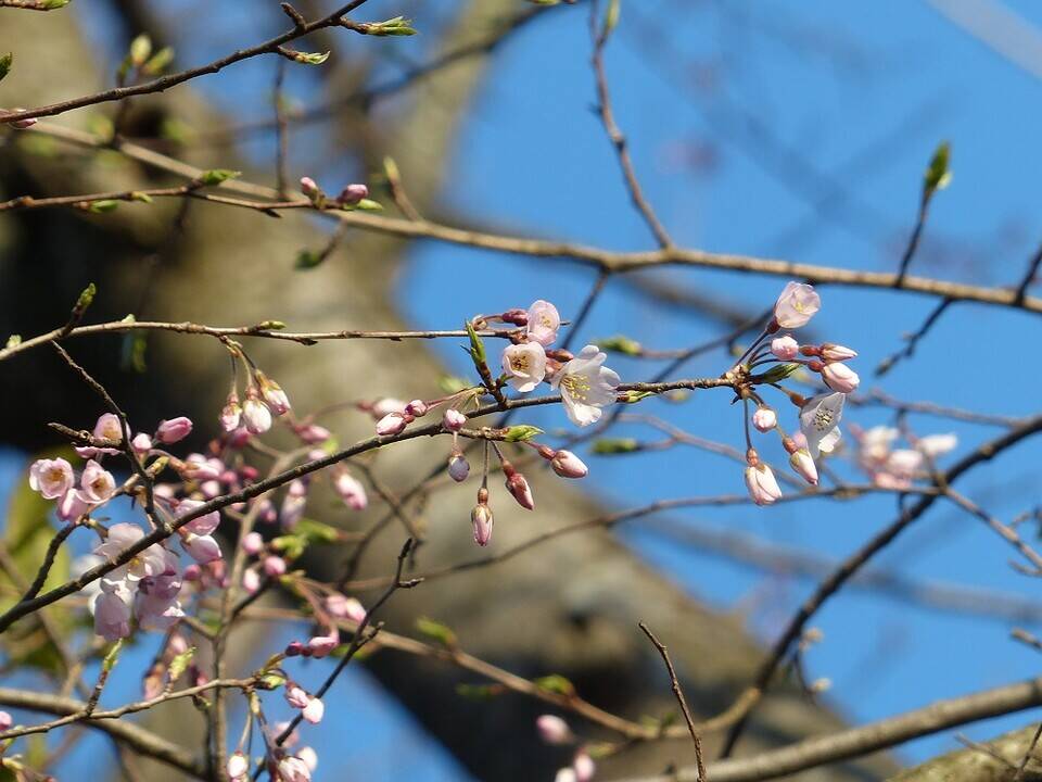 P1560615 - コピー.jpg