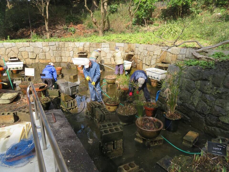 IMG_1306 - コピー.jpg