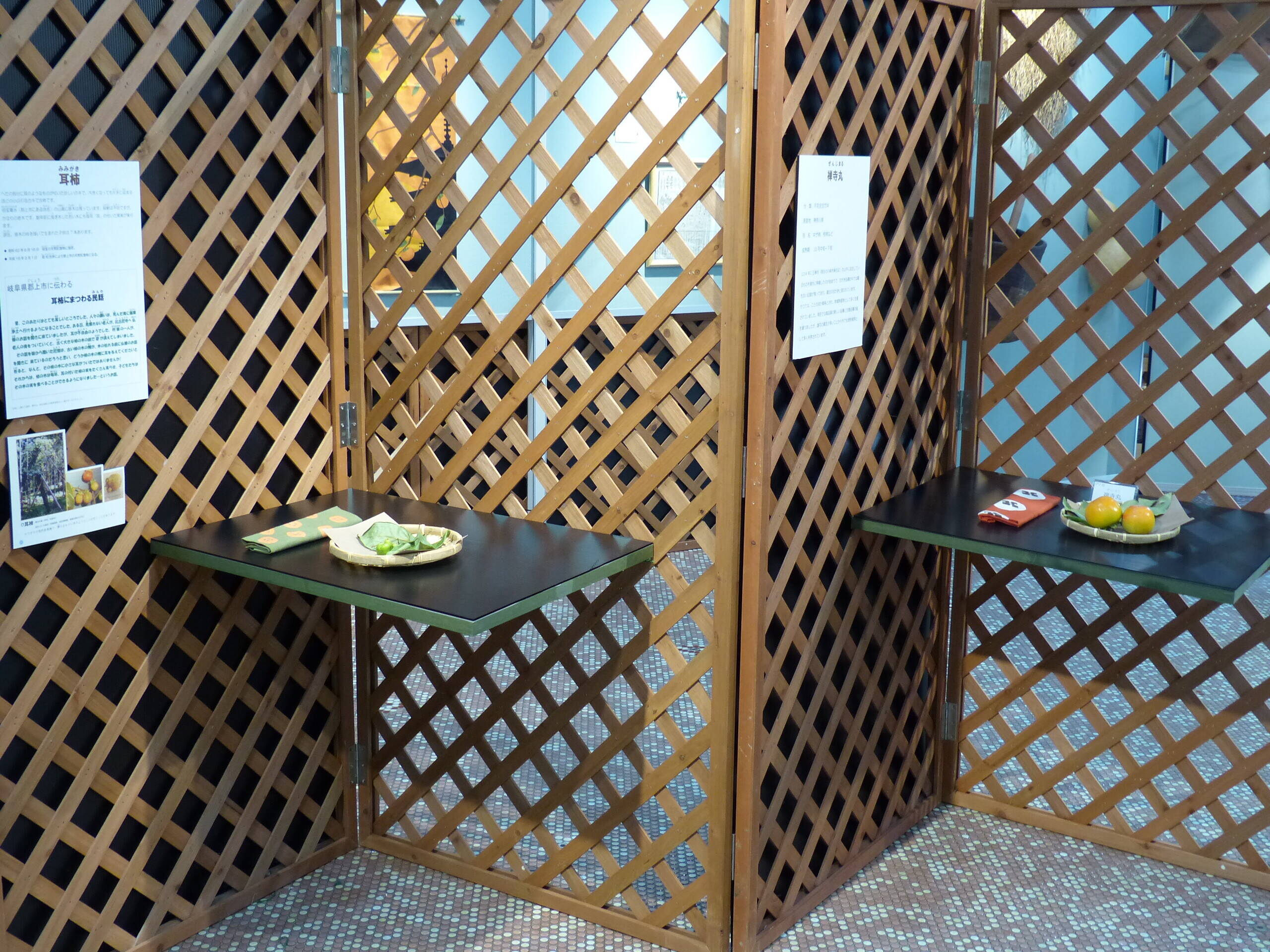 P1530601 - コピー.jpg