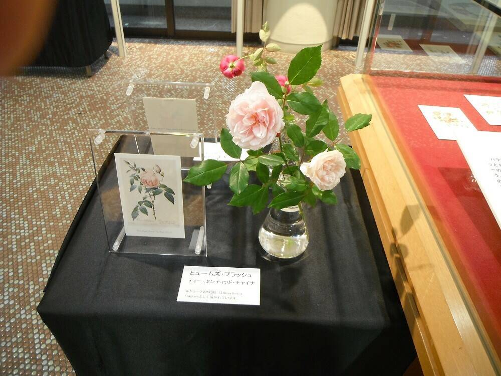 DSCF1848 - コピー.jpg