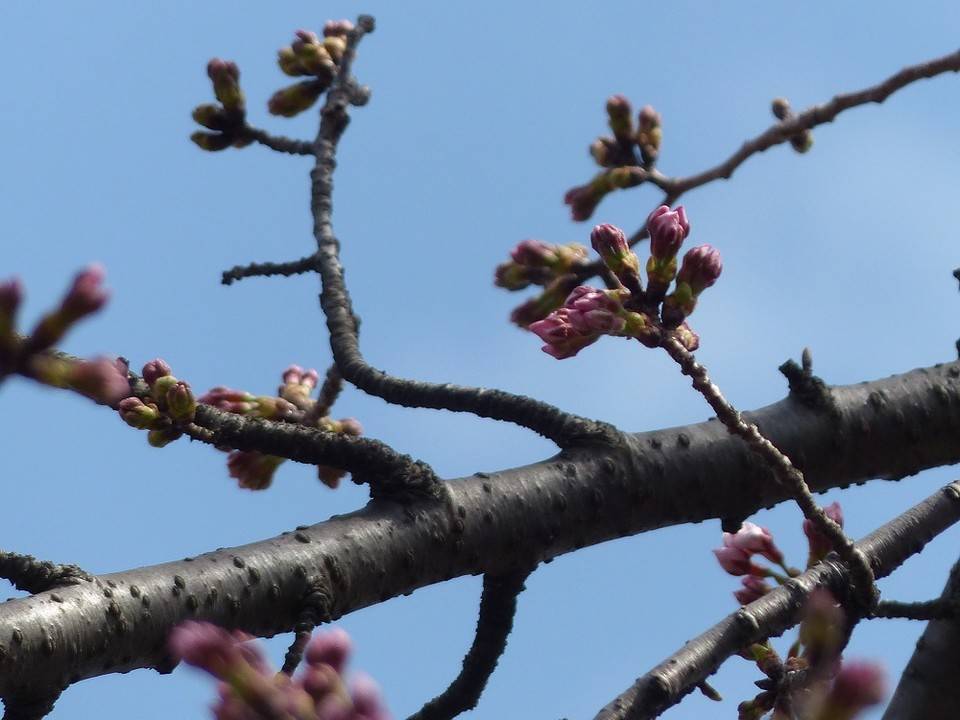 P1490440 - コピー.jpg