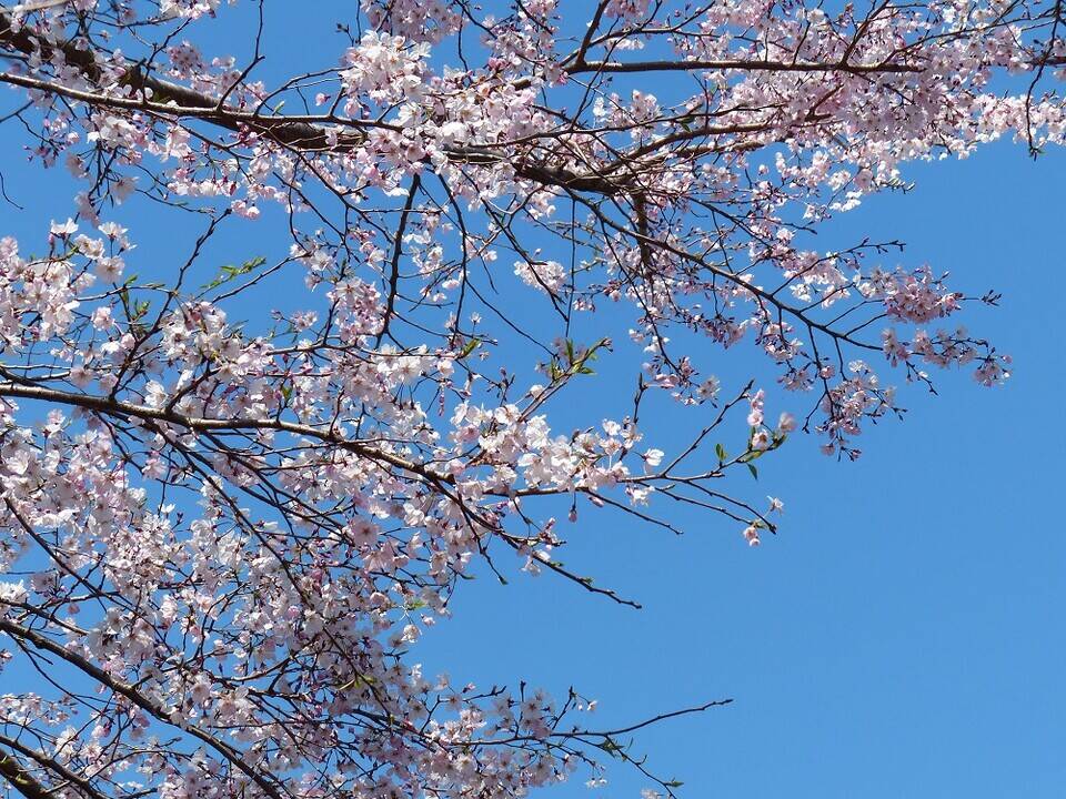 P1560785 - コピー.jpg