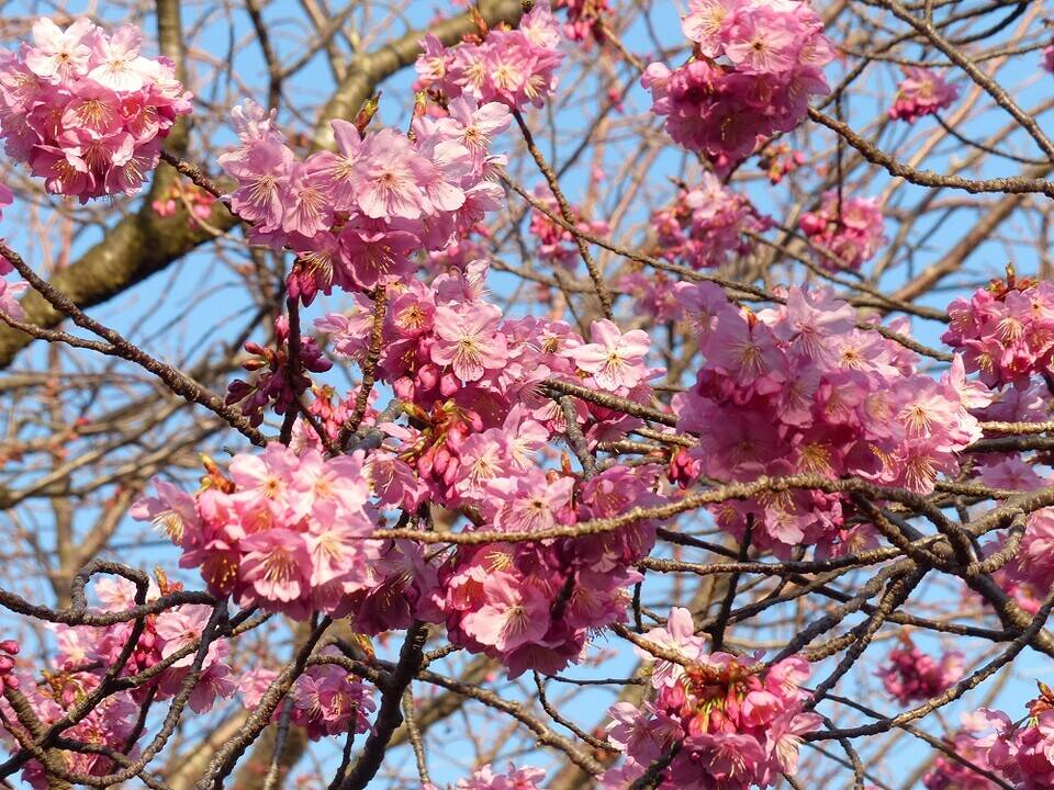 P1560622 - コピー.jpg