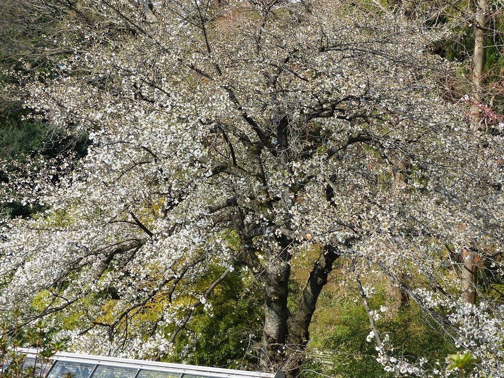 P1490526 - コピー.jpg