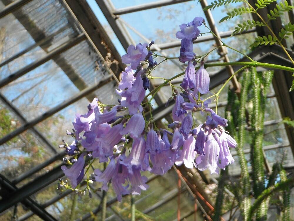 DSCF2105 - コピー.jpg