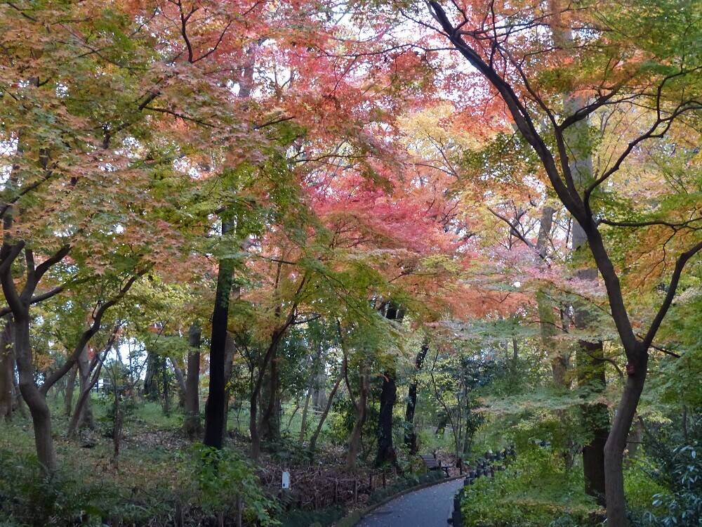 P1550166 - コピー (2).jpg