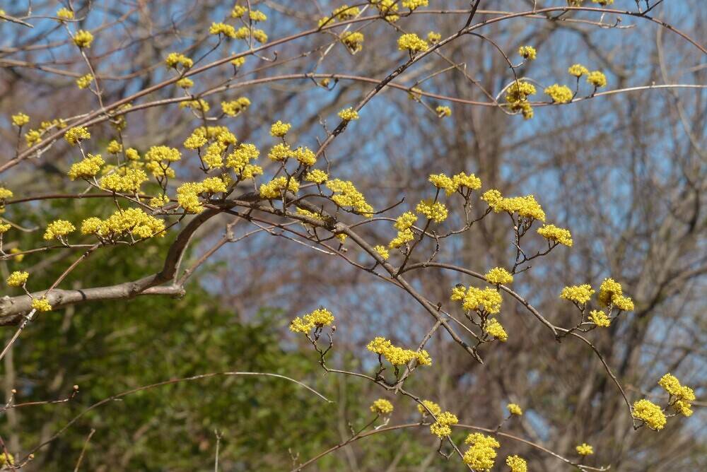 P1560512 - コピー.jpg