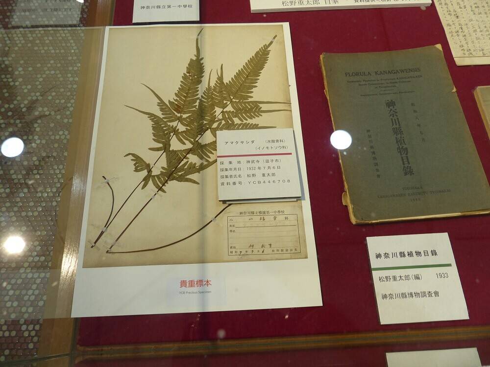 P1530468 - コピー.jpg