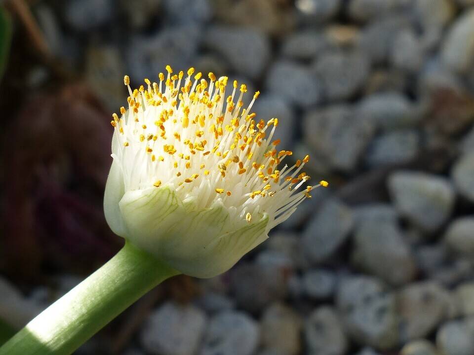 P1540115 - コピー.jpg