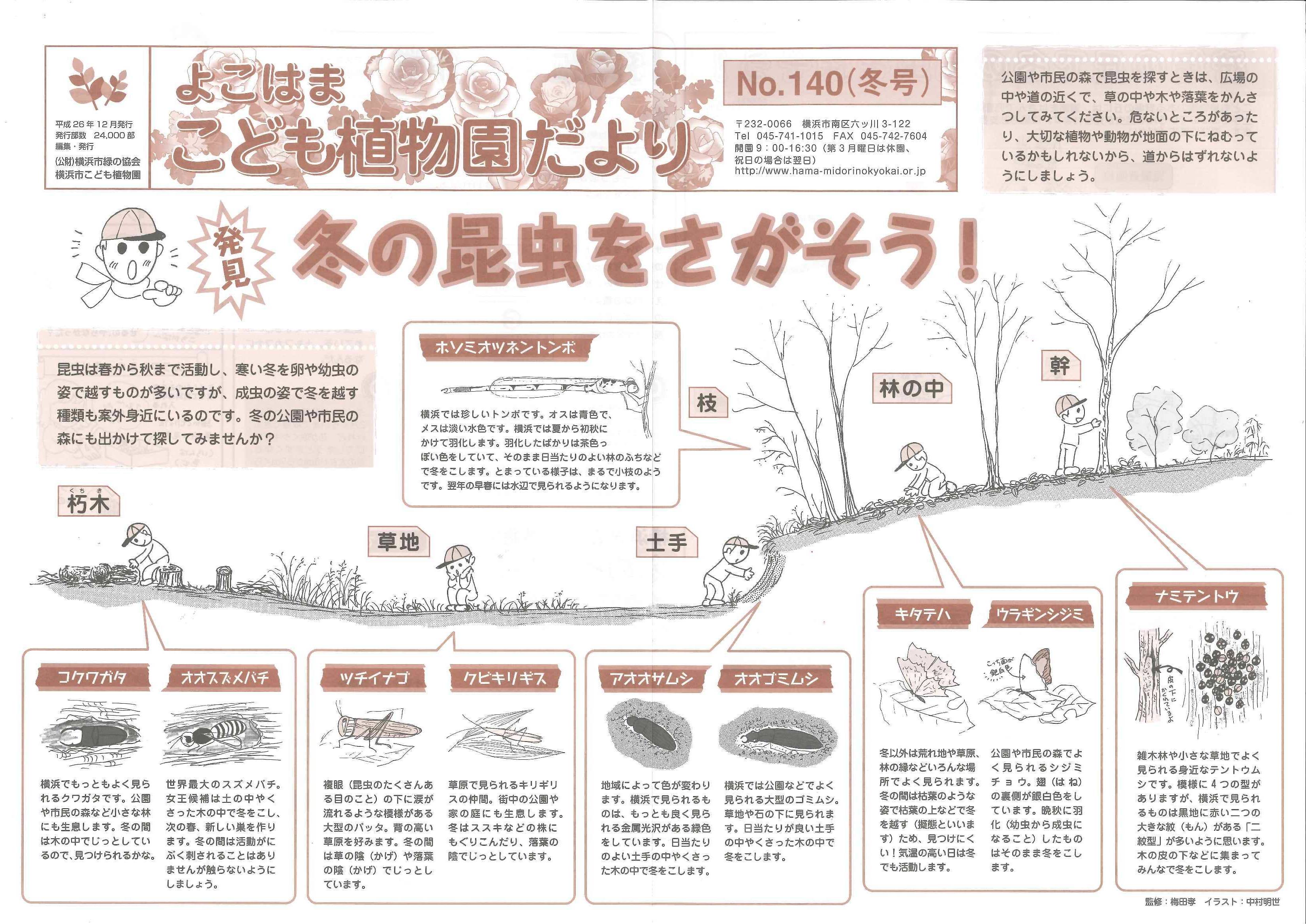 こども植物園だよりＮｏ.140（平成26年冬号）の写真
