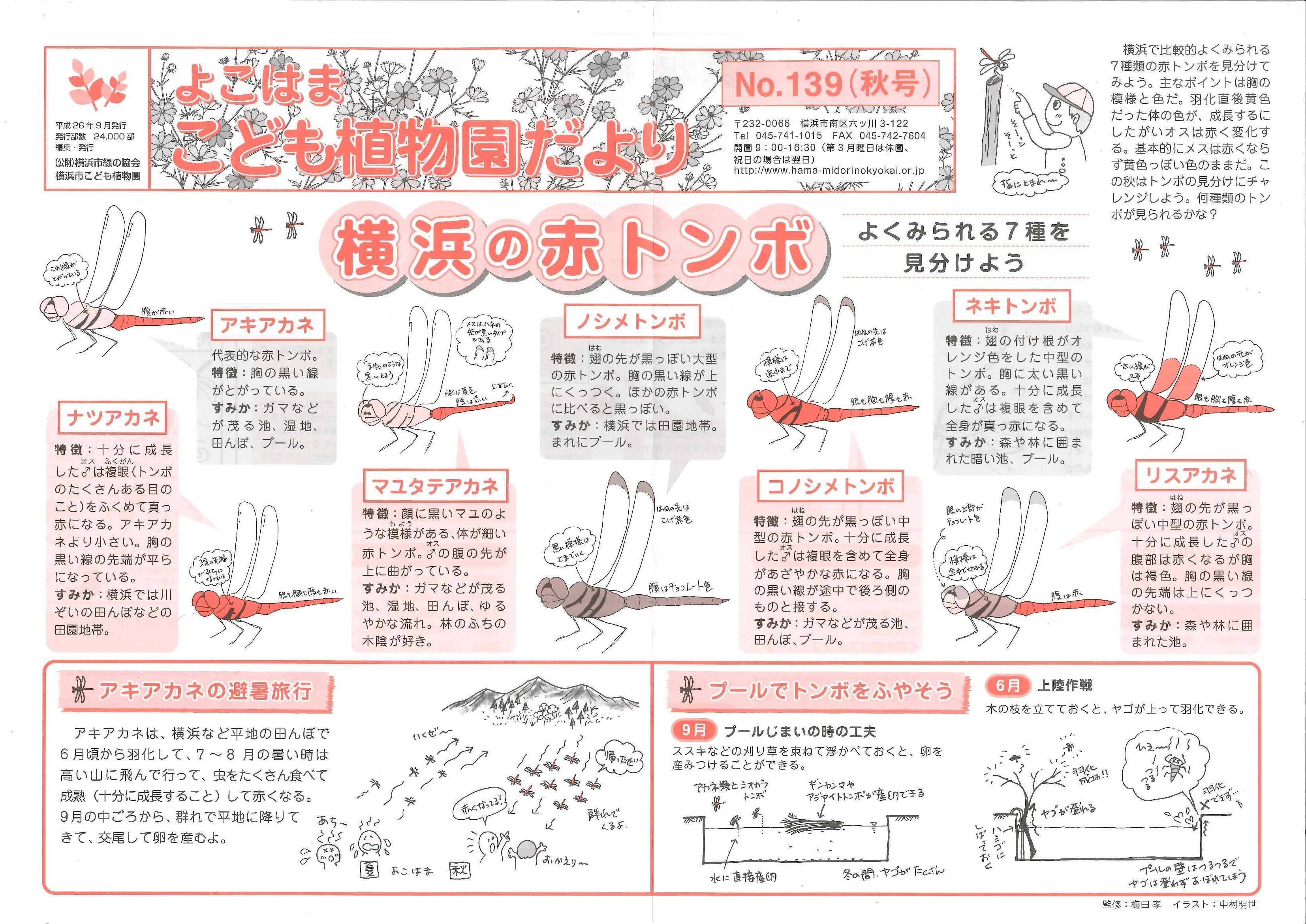 こども植物園だよりＮｏ.139（平成26年秋号）の写真
