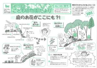 こども植物園だよりＮｏ.145（平成28年春号）