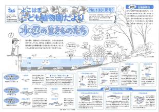 こども植物園だよりＮｏ.138（平成26年夏号）