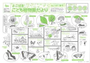 こども植物園だよりＮｏ.141（平成27年春号）