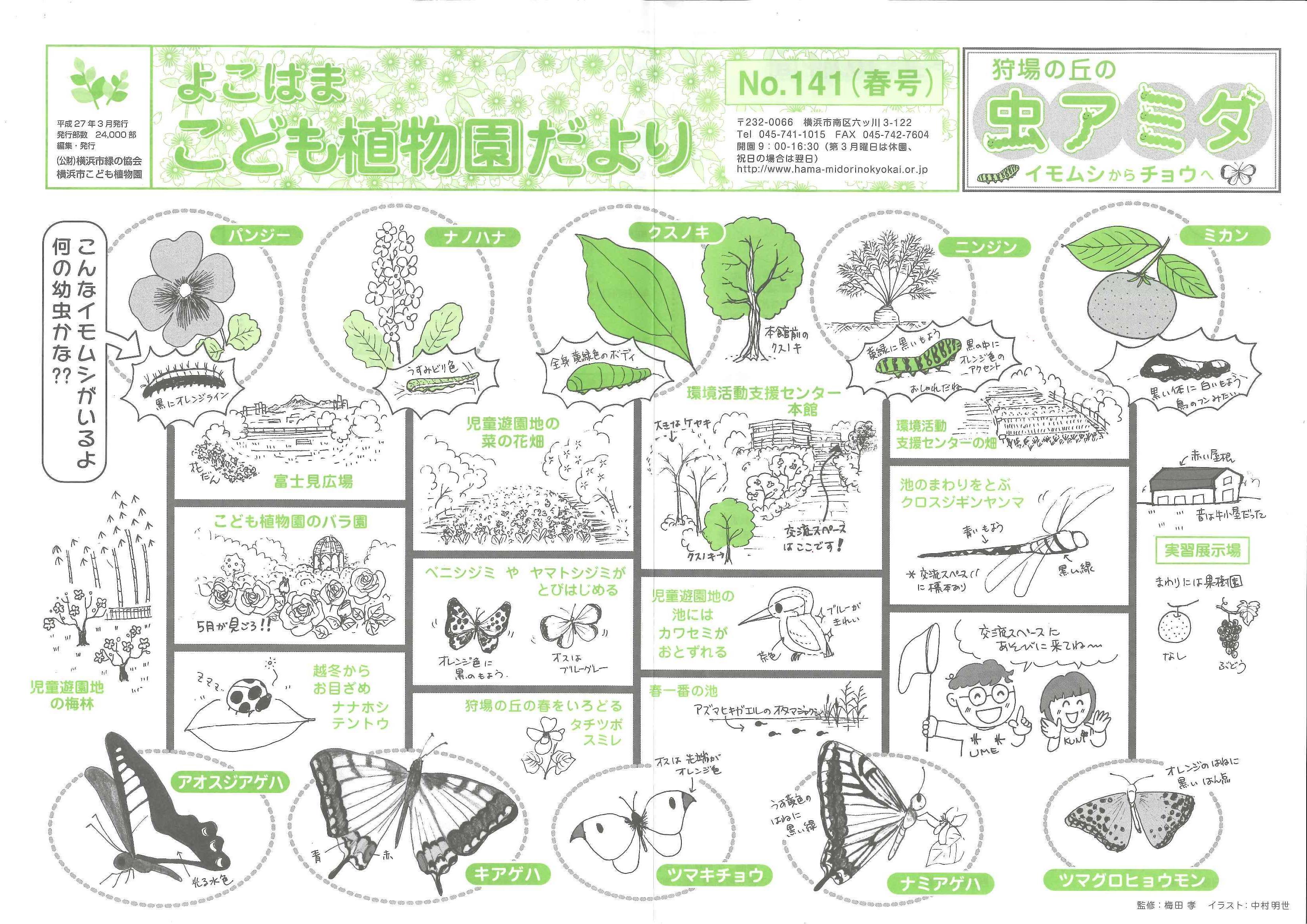 こども植物園だよりＮｏ.141（平成27年春号）の写真