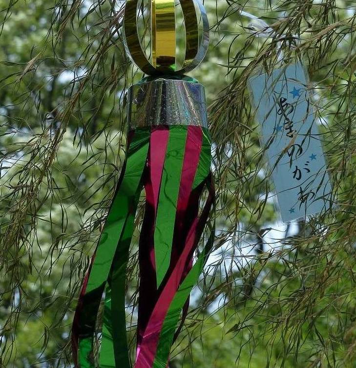 大きな竹に願いごとの写真