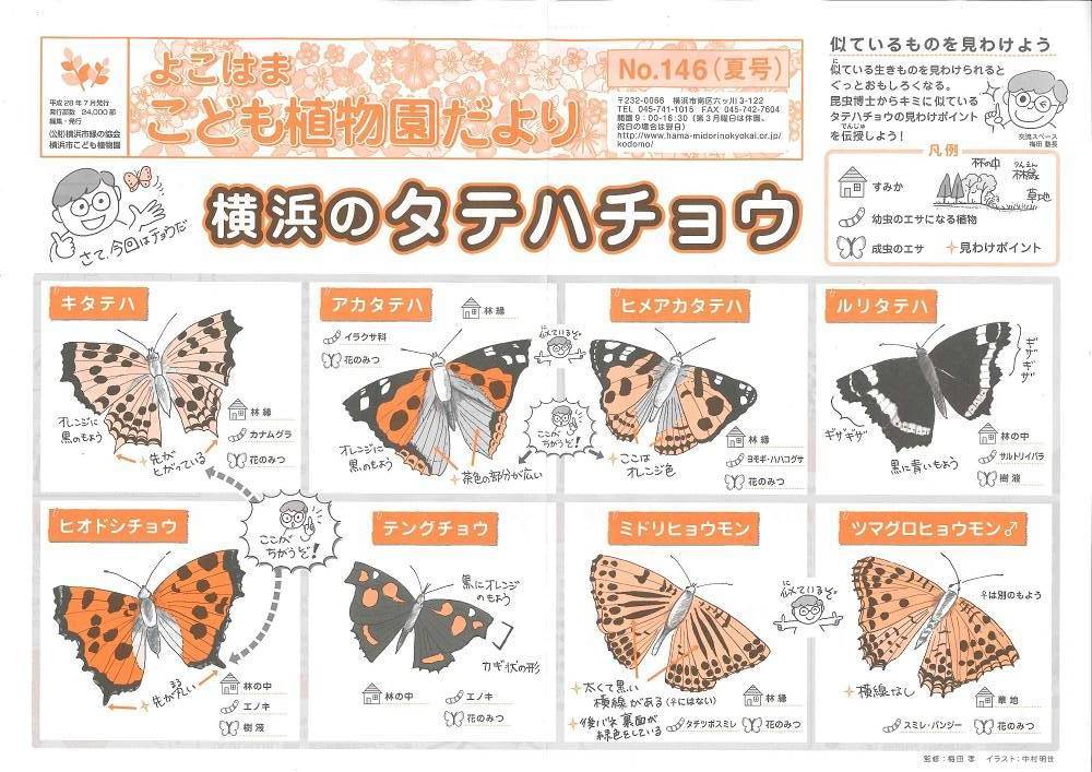 こども植物園だよりNo．146（平成28年夏号）の写真