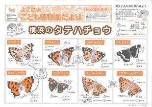 こども植物園だよりNo．146（平成28年夏号）