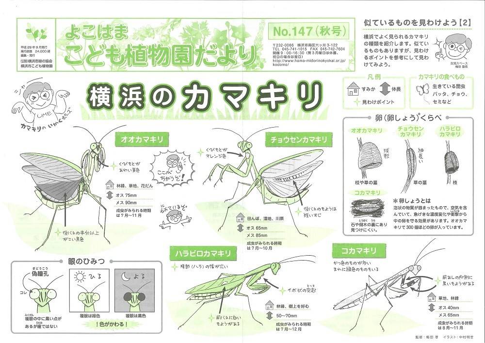 こども植物園だよりＮｏ.147（平成28年秋号）の写真