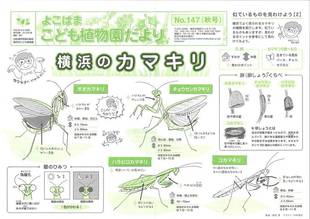 こども植物園だよりＮｏ.147（平成28年秋号）