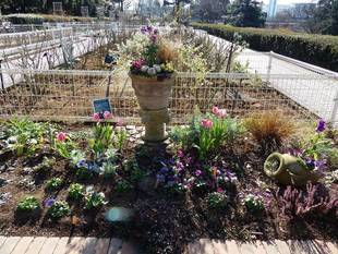 １月６日の植物園