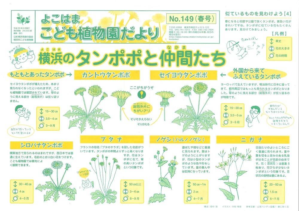 こども植物園だよりNo.149（平成29年春号）の写真