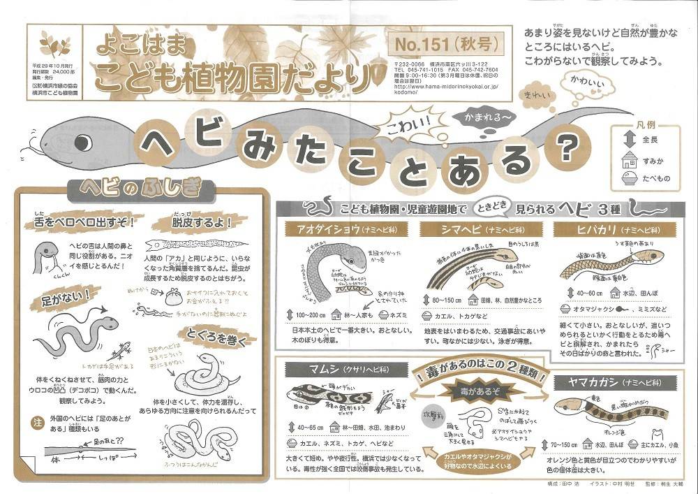 こども植物園だよりNo.151（平成29年秋号）の写真
