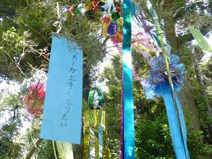 願い事を書いてね！