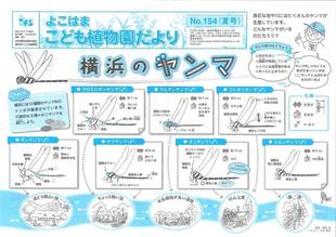 こども植物園だよりNo.154（平成30年夏号）