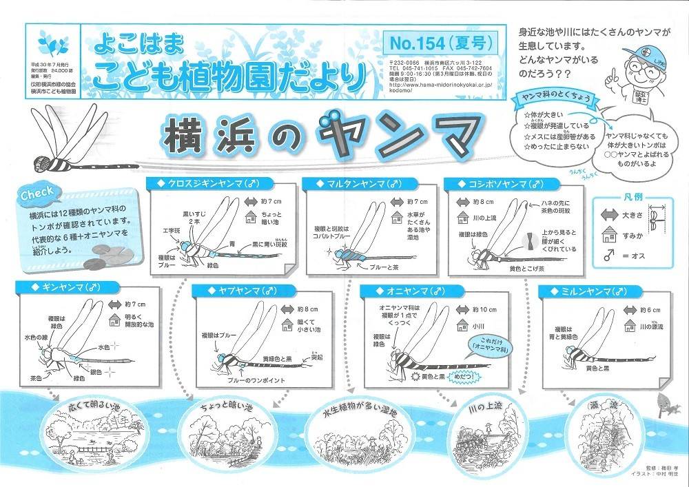 こども植物園だよりNo.154（平成30年夏号）の写真