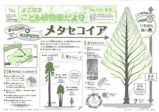 こども植物園だよりNo.153（平成30年春号）