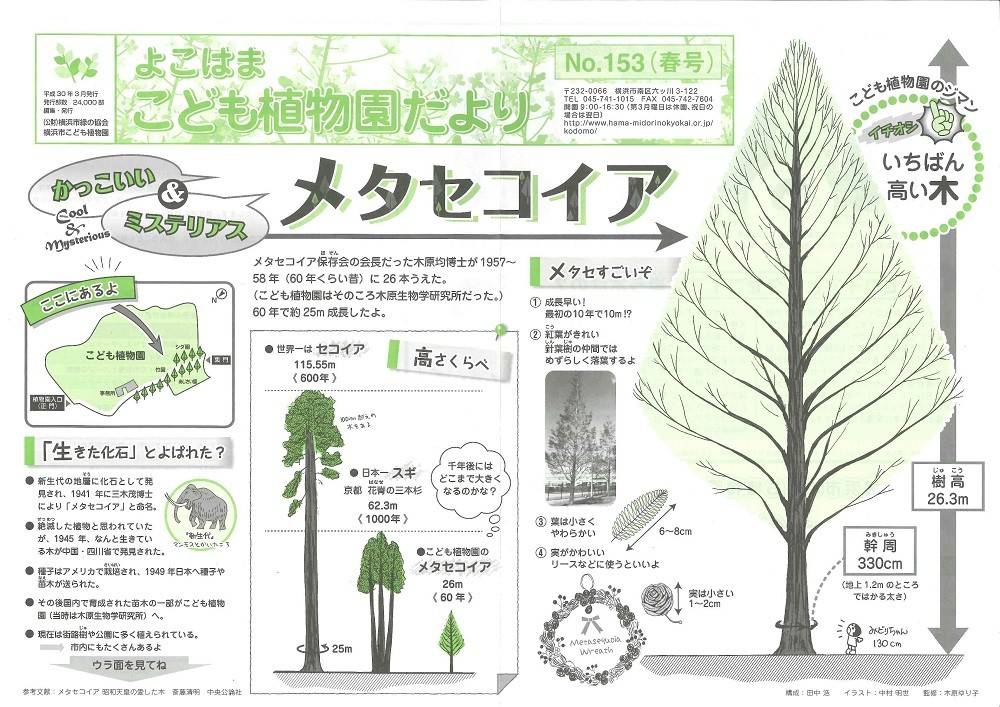 こども植物園だよりNo.153（平成30年春号）の写真