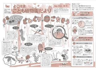 こども植物園だよりNo.155（平成30年秋号）