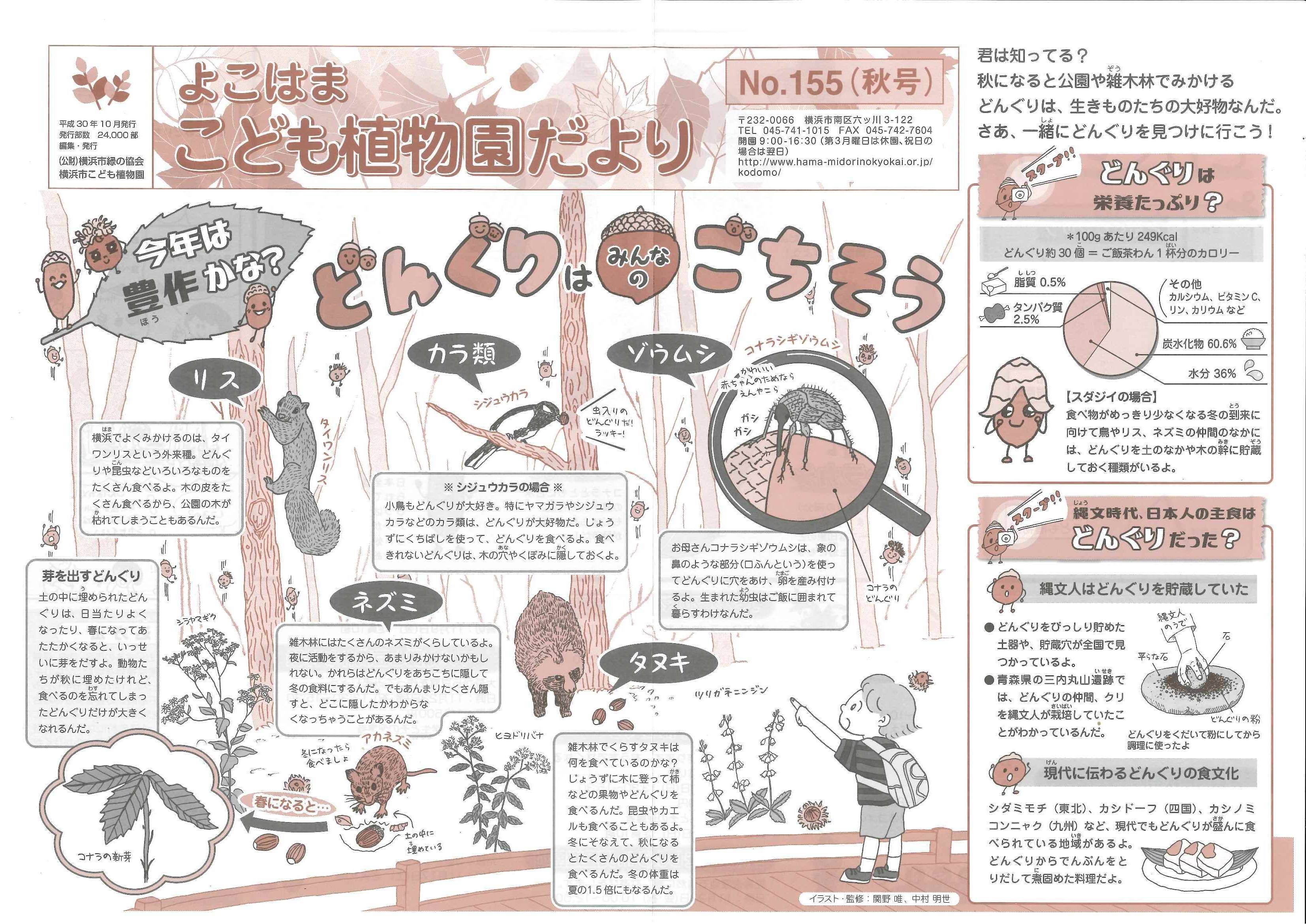 こども植物園だよりno 155 平成30年秋号 こども植物園だより こども植物園公式サイト 公益財団法人 横浜市緑の協会
