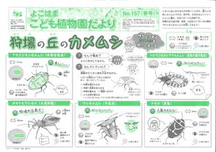 こども植物園だよりNo.157(2019年春号）