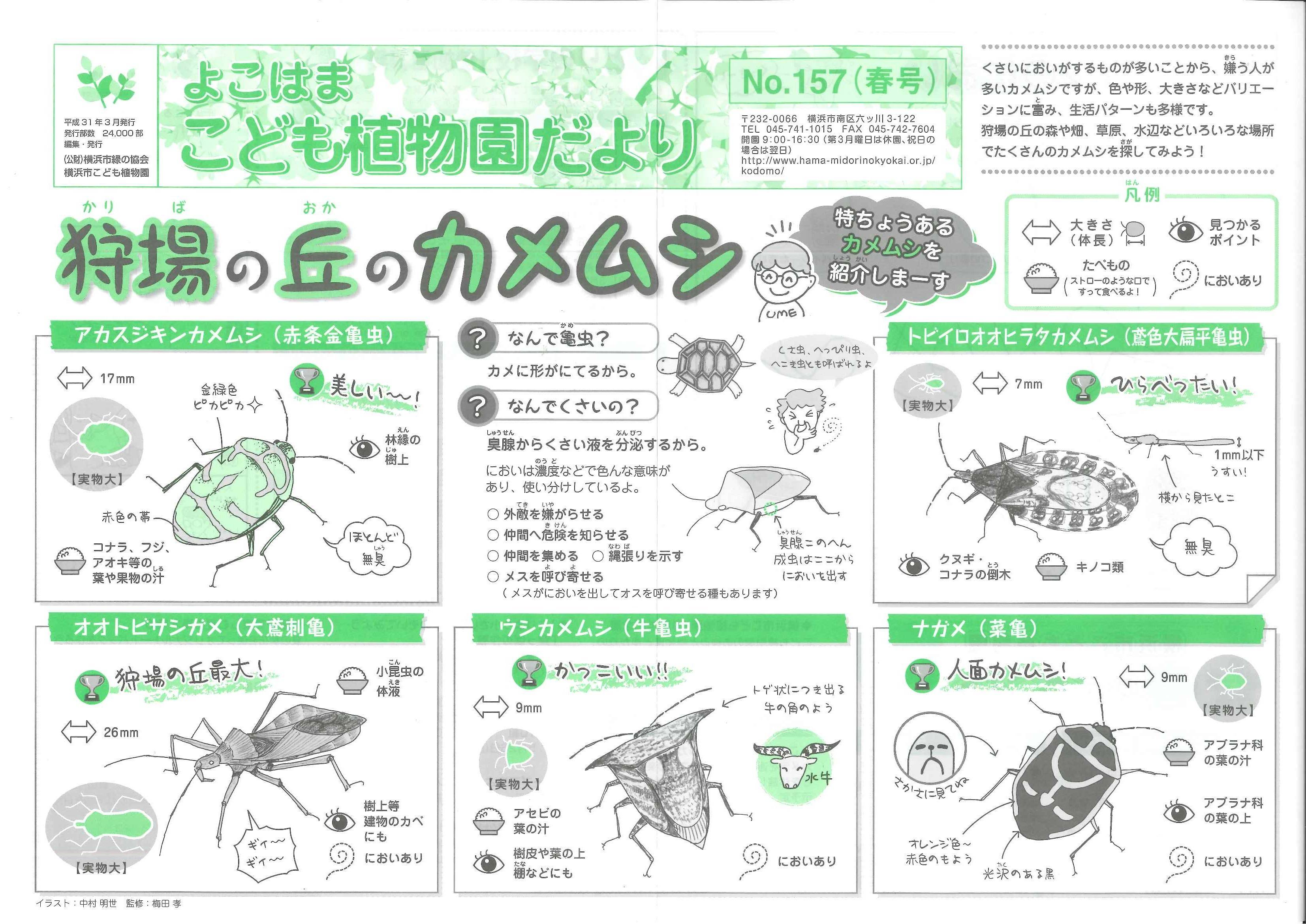 こども植物園だよりNo.157(2019年春号）の写真