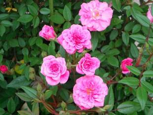 W(ダブル)開催中です！