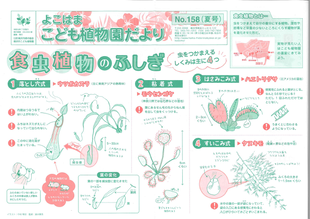 こども植物園だよりNo.158(2019年夏号)