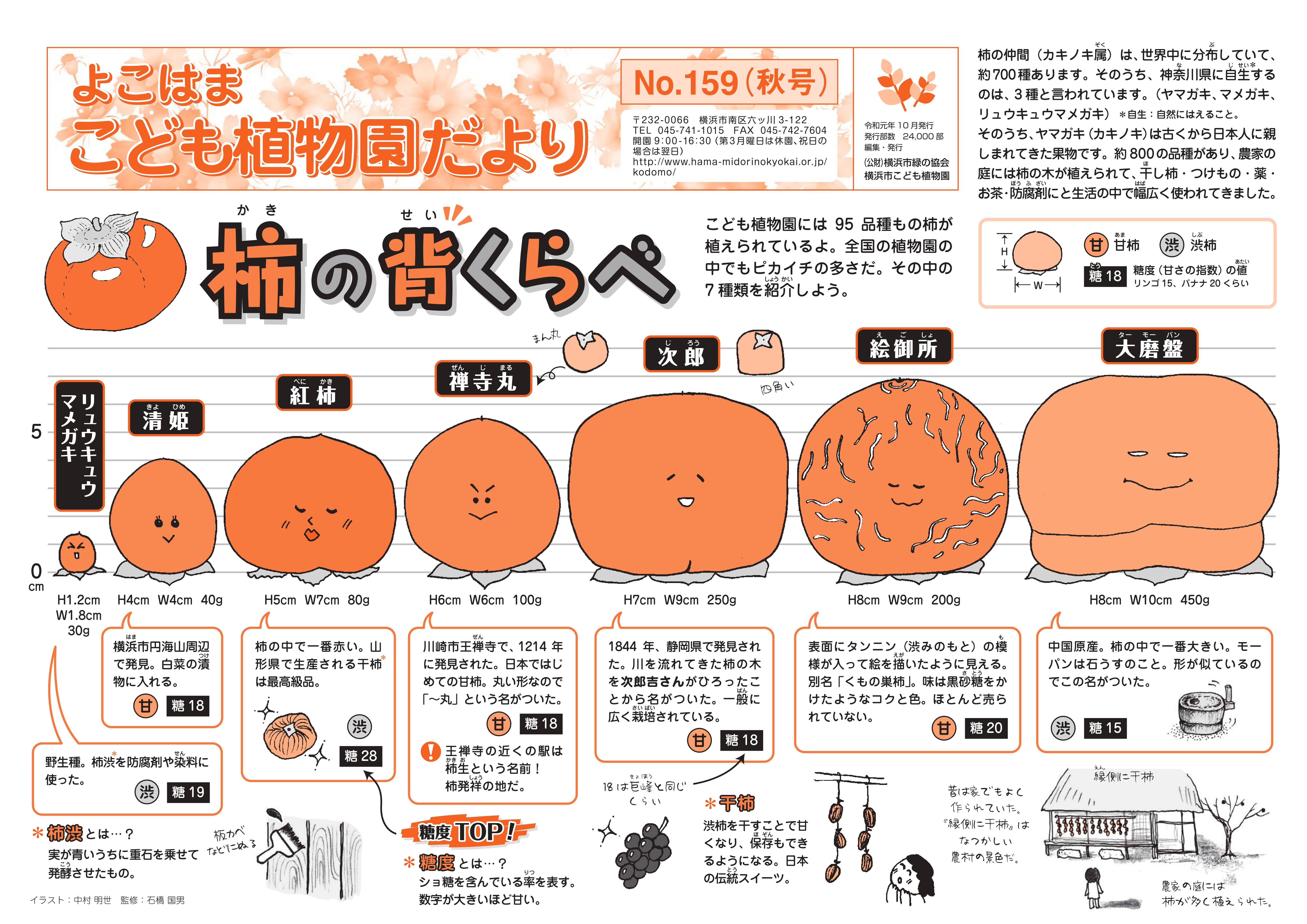 こども植物園だより No.159 (秋号)の写真