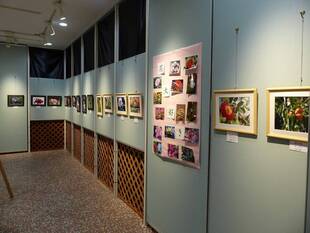 植物園で咲く写真の華！