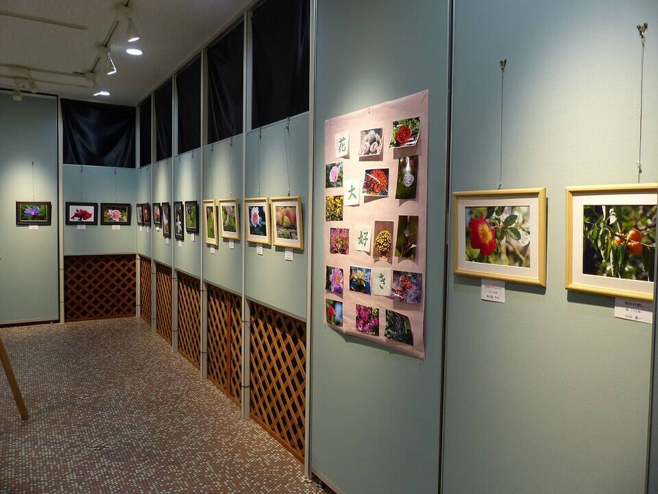 植物園で咲く写真の華!の写真