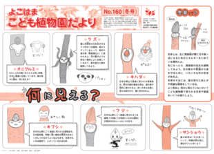 こども植物園だよりNo.160 (2020 冬号)