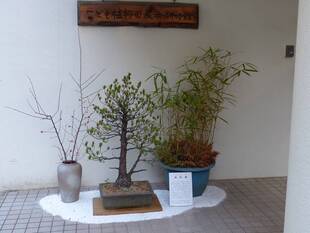 終了間近です。