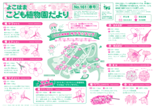 こども植物園だよりNo.161（2020年 春号）